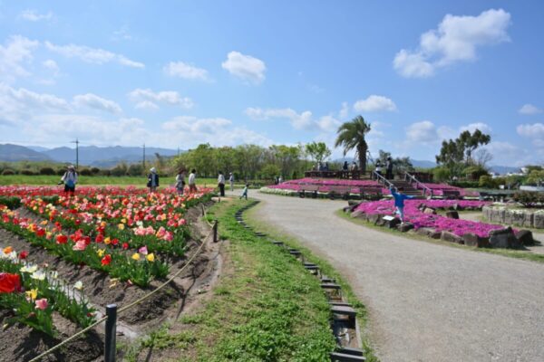 舗装はされていない整備された広い通路の画像
