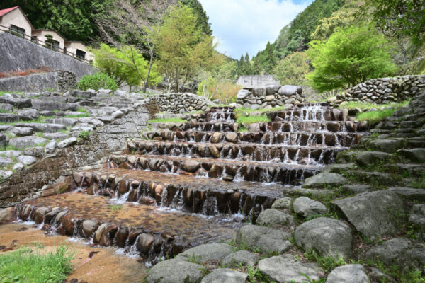 緑の砂防ゾーンにある小さな滝が連なる場所の画像