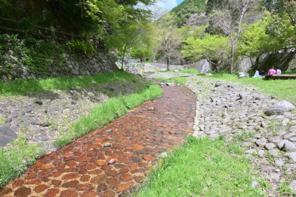緑の砂防ゾーンの川底の画像