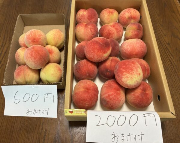 和歌山で購入した桃の画像