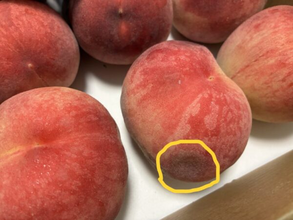 表面にキズのある桃の画像