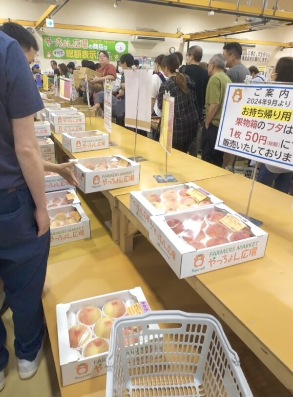 やっちょん広場の桃の争奪戦の画像